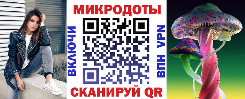 Псилоцибиновые грибы Psilocybine cubensis Курлово